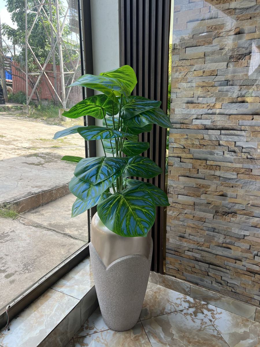 Leafy plant in champagne floor vase by a window
